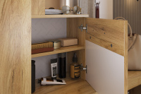 Алекс Прихожая Детали 2 Алекс Прихожая Детали 2